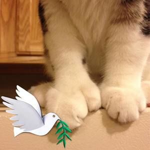 Meet your Posher, Paula